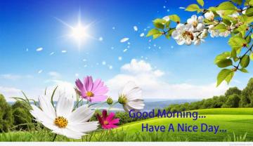 Cute Beautiful Good Morning Image Scenery