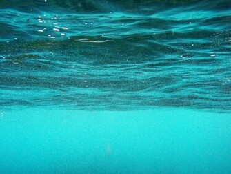 Description Underwater World Jpg