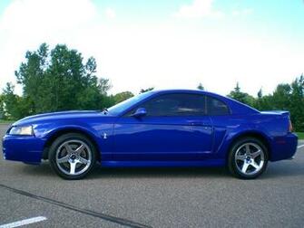 Ford Mustang Svt Cobra The Terminator Dark Cars Wallpaper