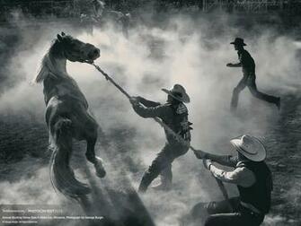Rodeo Desktop Wallpaper
