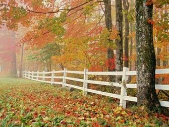Romantic Nature Wallpaper Are Waiting To Get It Ed On Desktop