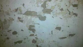 Painting Over Wallpaper No Other Option Proceed