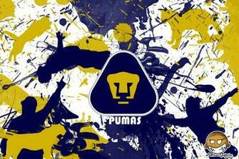 Pumas Jpeg