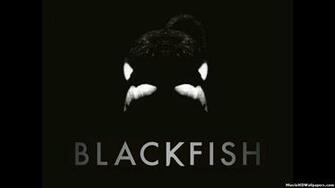 Blackfish Movie HD Wallpaper