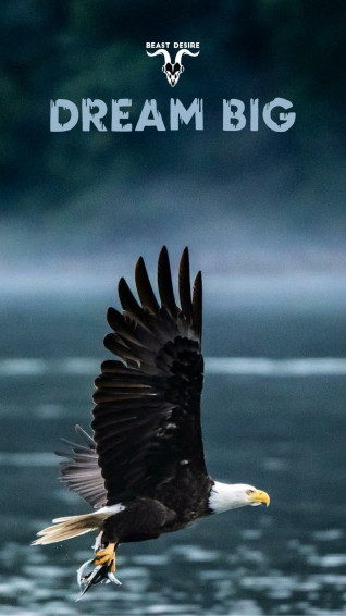 Eagle Quotes Wallpaper Mobcup