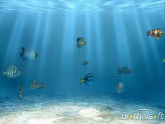Simaquarium Screensaver