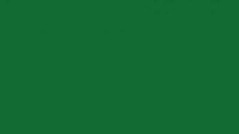Wingstop Logo Color Scheme Brand And Schemecolor