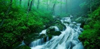 3d Waterfall HD Live Wallpaper