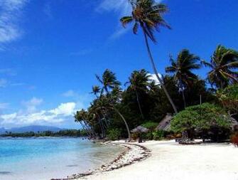Windy Day On Tropic Beach Wallpaper Sea And