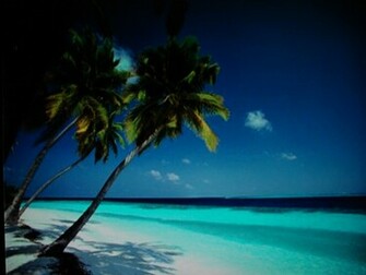 Caribbean Beach By Dilworthe