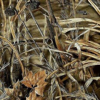 Realtree Max Camo Ap Wallpaper