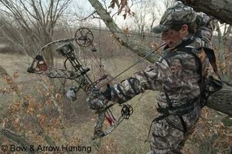 Bowhunting Gear Compound Bows Traditional Hunting Bow
