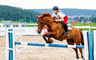 Horseback Riding Wallpaper HD Background Horse