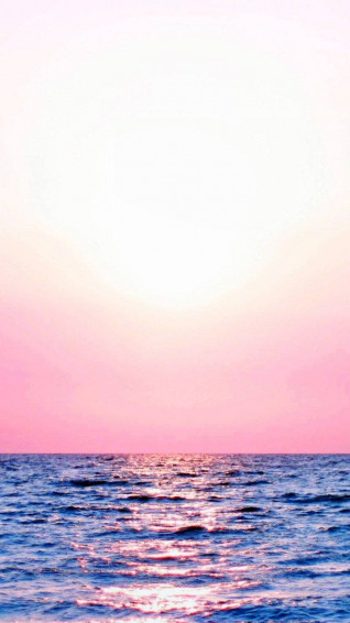 Top Plain Pink Wallpaper Full HD 4k To Use