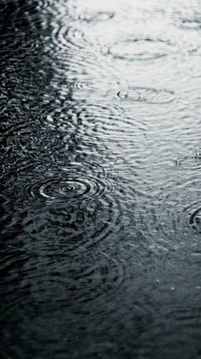 iPhone Rain Wallpaper Grayscale