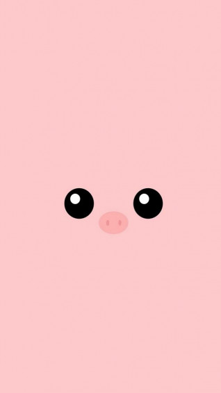 Best Piggy iPhone HD Wallpaper