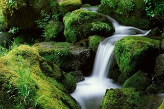 Supernatural Wallpaper Super Natural Cool Most Beautiful