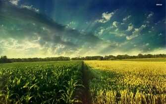 Countryside Fields Wallpaper Nature