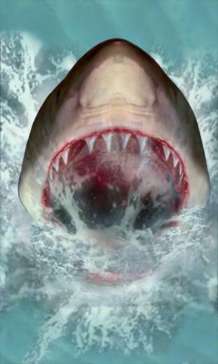 Shark Attack Live Wallpaper Has The Water Background Where Jumps