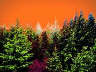 Trippy Landscape Wallpaper