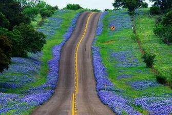 Bluebonnet Wine Trail Experience The Red White And Bluebonnets