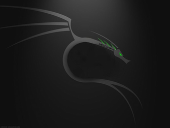 Dragons Backtrack Wallpaper