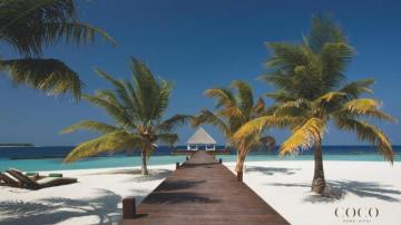 These Dream Destination Background Turn Your Zoom Into A Tropical