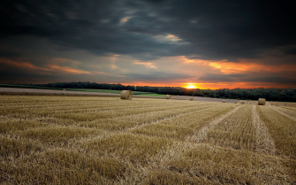 Nature Landscapes Fields Crops Farm Hay Bales Wheat Rustic Wallpaper