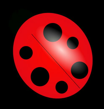 Ladybugs Cartoon Pictures