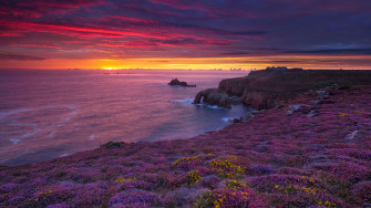 Sunset Beach Flower Field Scenery 4k Wallpaper iPhone HD Phone 5510f