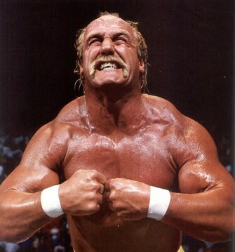 Hulk Hogan Wallpaper For Desktop