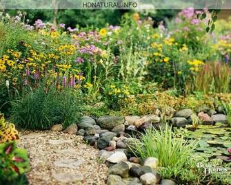 Spring Desktop Wallpaper Garden Scenes