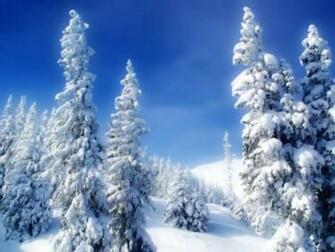Snow Scenes Wallpaper Pictures