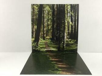 Vintage Star Wars The Return Of Jedi Endor Forest Custom