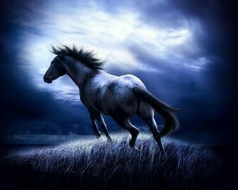 3d Horse Desktop