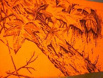 Blaze Orange Commonly Called Hunters Camo Shows Up Extremely