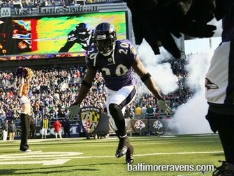 Ed Reed Graphics Code Comments Pictures