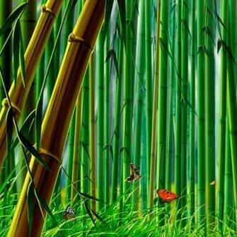 3d Abstract Wallpaper Desktop Top Pictures