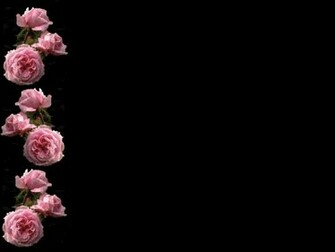 Go Back Image For Pink Rose Black Background