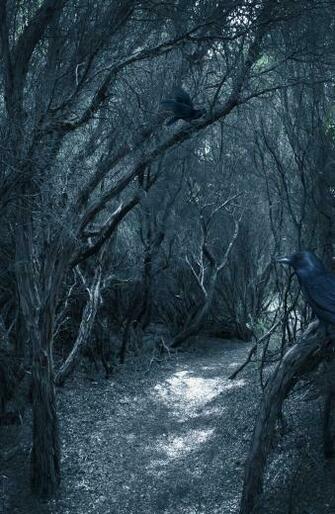 Background Eerie By H Stock