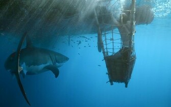 Kon Tiki Wallpaper Movie