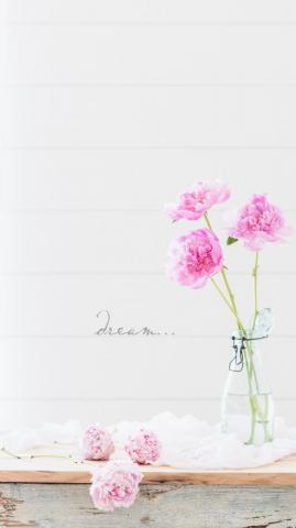 Pink Peonies June iPhone Wallpaper Dream