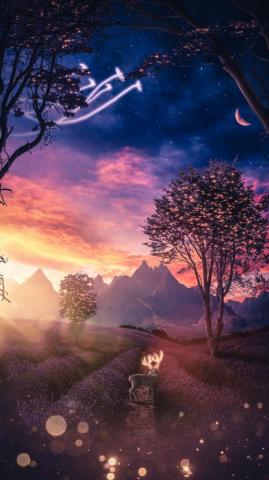 Deer Lavender Flower Field Sunset Landscape 4k Wallpaper iPhone HD