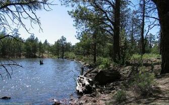 Widescreen Background Web Gallery Photo