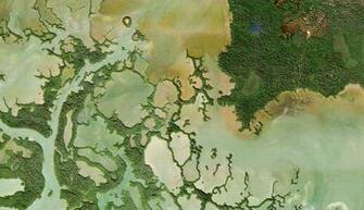 Earth Bild Google