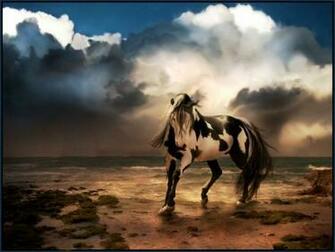 Beach Horse Wallpaper HD Walls Find