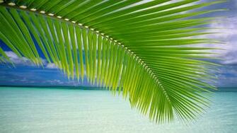 Wallpaper Beach Windows