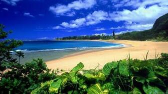 Tropical Paradise Art Prints Wall And Posters Murals Buy A