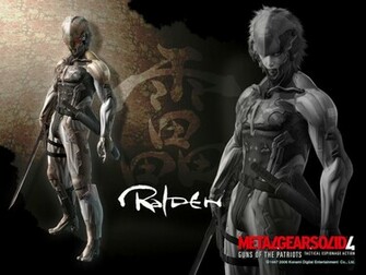 Raiden Google Skins Background Themes