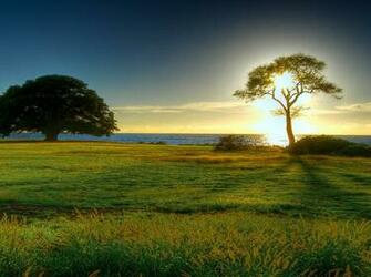 Spring Wallpaper New Nature Pixel HD